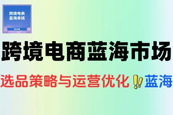跨境电商蓝海市场定位数据选品